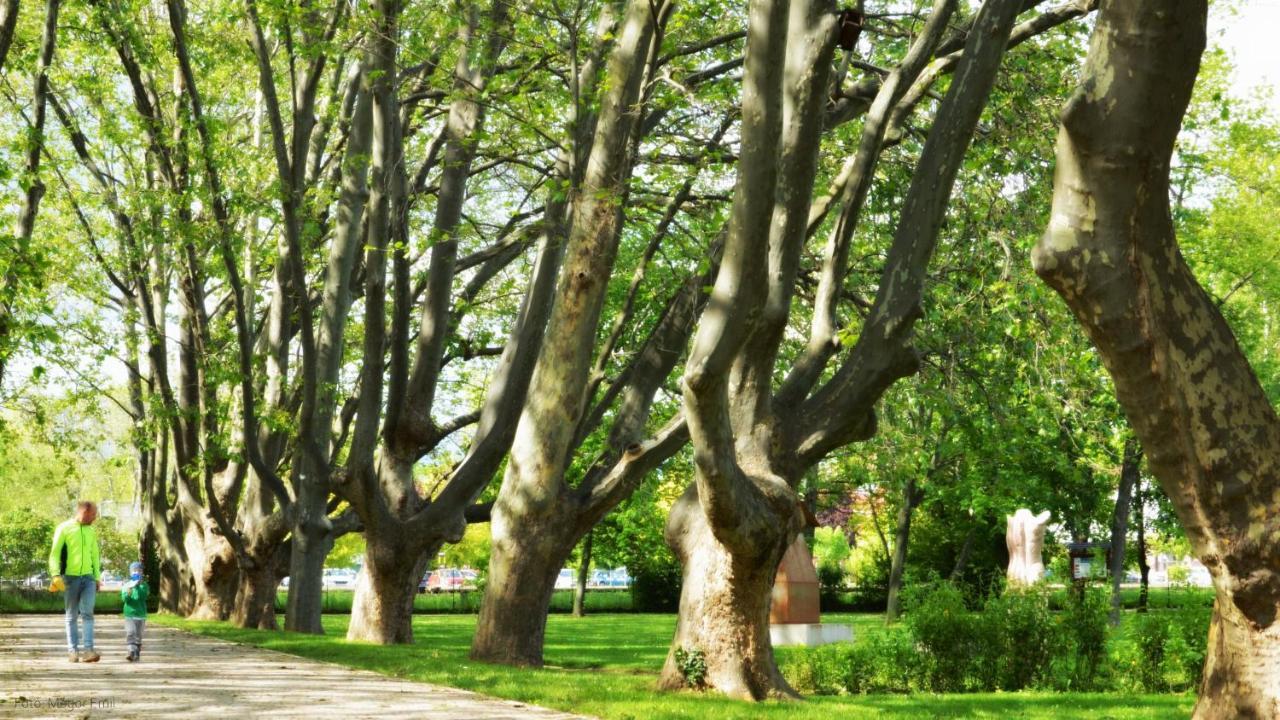 Bogi Apartman Balatonalmadi Bagian luar foto