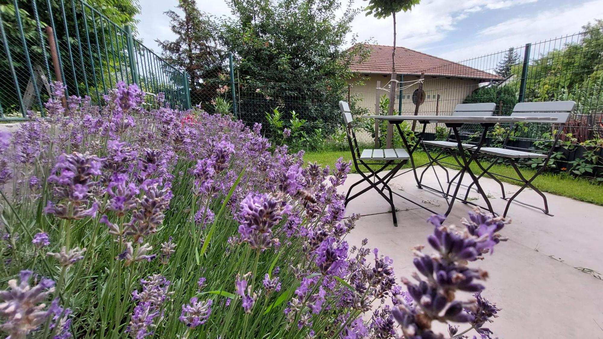 Bogi Apartman Balatonalmadi Bagian luar foto